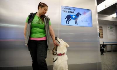 В аэропорту Хельсинки зараженных Covid-19 отсеивают с помощью собак
