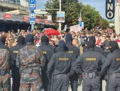 Население Минска просит МВД разобраться с «агрессивной оппозицией»