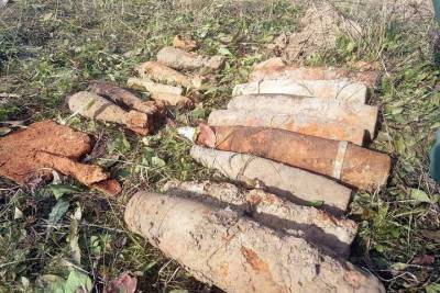 В Сычевском районе обнаружили целый схрон с боеприпасами времен ВОВ