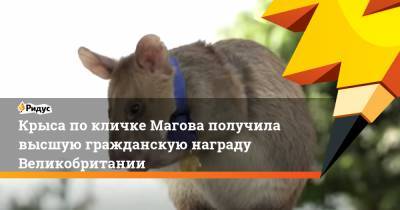 Крыса покличке Магова получила высшую гражданскую награду Великобритании