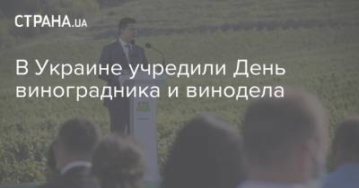 В Украине учредили День виноградника и винодела