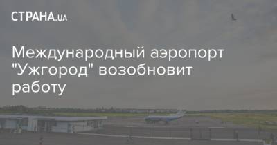 Международный аэропорт "Ужгород" возобновит работу