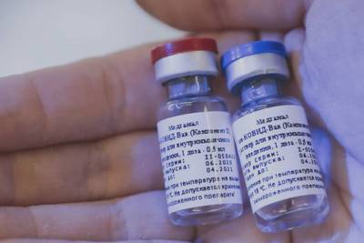 Первыми вакцину от коронавируса в Северной Осетии получат медики