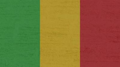 Временный президент Мали Ба Ндао вступил в должность