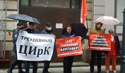 Члены КПРФ и «Левого фронта» провели пикеты с требованием отставки Эллы Памфиловой