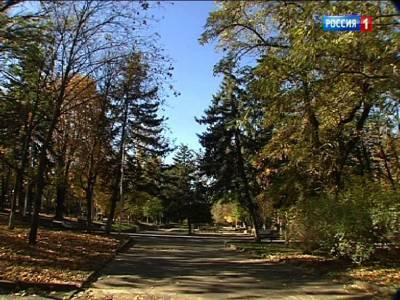 Последние выходные сентября в Ростовской области будут по-летнему теплыми