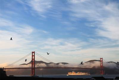 Ученые: карантин вернул пению птиц Сан-Франциско звучание 50-х