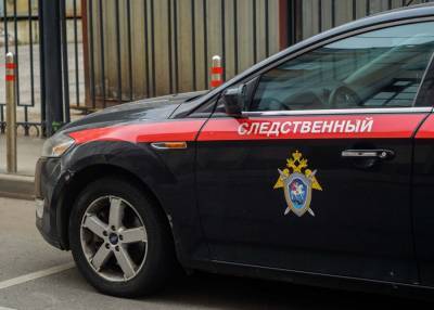 Завершено расследование дела молодых людей, избивших пешехода в Москве