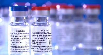 Российская вакцина против COVID-19 может появиться в СНГ