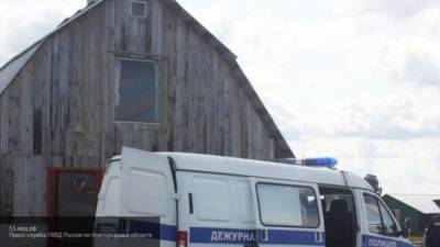 Полиция опровергла фейк о "рабовладельческой ферме" в Ленобласти