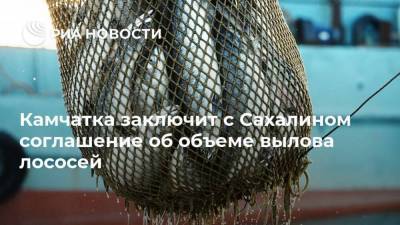 Камчатка заключит с Сахалином соглашение об объеме вылова лососей