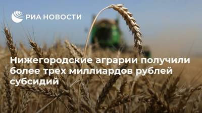 Нижегородские аграрии получили более трех миллиардов рублей субсидий