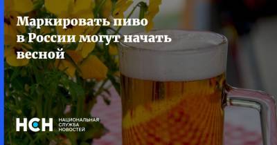 Маркировать пиво в России могут начать весной
