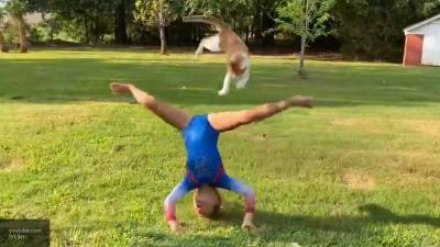 Пользователей Сети насмешило видео с испортившим номер гимнастки котом
