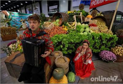 Дайджест хороших новостей Ленобласти за 25 сентября: сотрудничество с Беларусью, экодежурный и хороший урожай