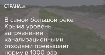 В самой большой реке Крыма уровень загрязнения канализационными отходами превышает норму в 1000 раз