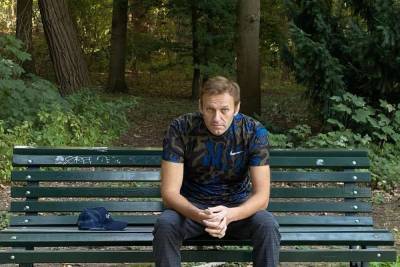 Алексей Навальный - Леонид Ринк - Якоб Навальный - Разработчик «Новичка» рассказал, как вещество повлияло бы на лечение Навального - mk.ru - Германия
