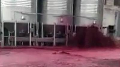 Вино затопили завод в Испании