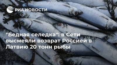 "Бедная селедка": в Сети высмеяли возврат Россией в Латвию 20 тонн рыбы