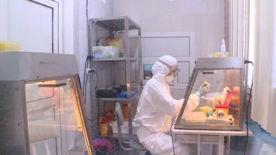 За сутки в России зафиксировано почти 7 200 случаев инфицирования COVID-19