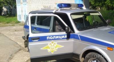 За сутки почти миллион рублей похитили у жителей Чувашии "удаленно"