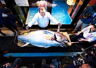 На торгах в Японии голубого тунца продали за $1,8 млн
