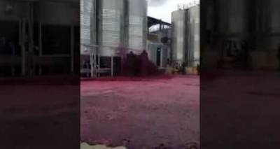 Пьянящий фонтан: в Испании красное вино затопило завод – видео