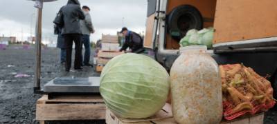 Сельхозярмарка в Петрозаводске откроется у торгового центра
