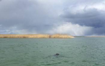 В Вологодской области найдено тело второго утонувшего рыбака