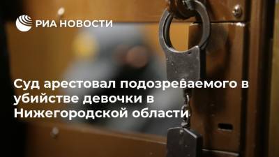 Суд арестовал подозреваемого в убийстве девочки в Нижегородской области
