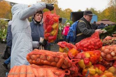 Осеннюю ярмарку в Петрозаводске перенесут на Древлянку