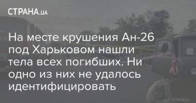 На месте крушения Ан-26 под Харьковом нашли тела всех погибших. Ни одно из них не удалось идентифицировать