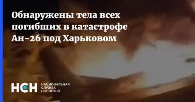 Обнаружены тела всех погибших в катастрофе Ан-26 под Харьковом