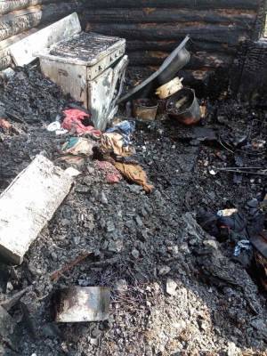 В тюменской деревне при пожаре погибли двое детей: они были дома одни