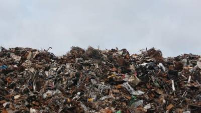 Появилась информация о незаконном завозе строительного мусора на полигон "Новоселки"