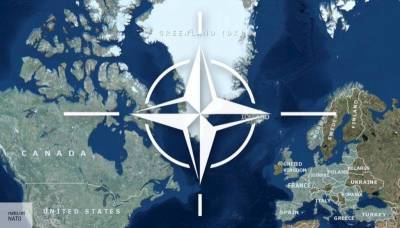 New Age объяснило, кто виноват в расколе НАТО