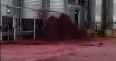 В Испании завод затопило красным вином (видео)