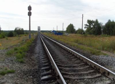 Поблизости Барнаула локомотив сбил человека