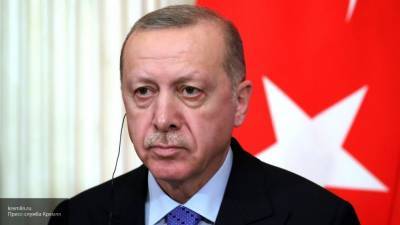 Жители Турции подверглись уголовному преследованию за критику Эрдогана