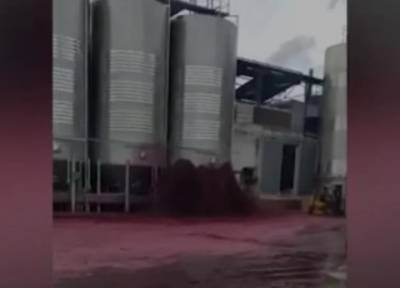 Видео расходится по миру: на винодельческом заводе в Испании вылилось море красного