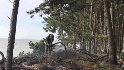 На Куршской косе произошёл пожар после противопожарного велопробега - dp.ru - Россия - Латвия