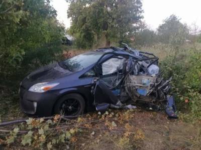 Под Одессой произошло столкновение грузовика MAN и Toyota, водитель тягача погиб