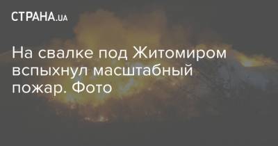 На свалке под Житомиром вспыхнул масштабный пожар. Фото