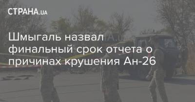 Шмыгаль назвал финальный срок отчета о причинах крушения Ан-26