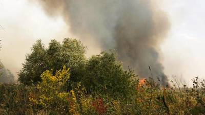 Под Ростовом начался второй пожар сухой травы на 4,5 тыс. кв. м
