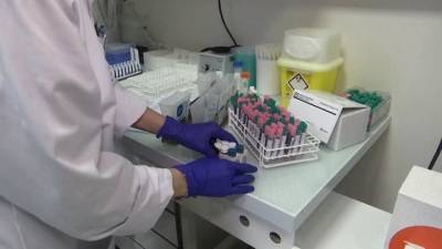 ВОЗ будет расследовать обстоятельства возникновения коронавируса