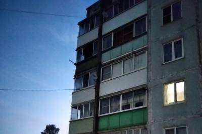 В Смоленске пожарные эвакуировали жильцов, а кота спасти не удалось
