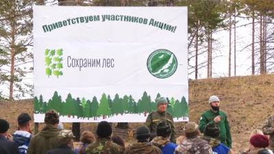 Нацпроект помогает восстанавливать леса в Бурятии - vesti.ru - респ.Бурятия - район Тарбагатайский