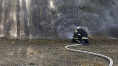 Крупный природный пожар в Воронежской области потушен