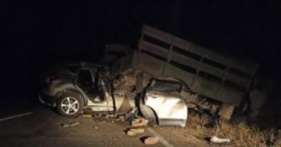 Водитель Nissan погиб, залетев под грузовик в Приморье